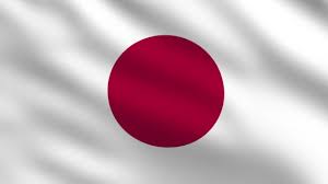 Japan wants further probe into COVID-19 origins